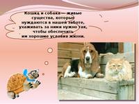 Порядок содержания домашних собак, кошек, а также отлова безнадзорных животных в Беларуси 
